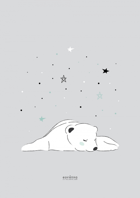 Lámina oso polar durmiendo fondo gris