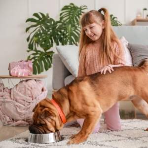 Alimentar al animal de compañía es una actividad que puedes hacer los peques.