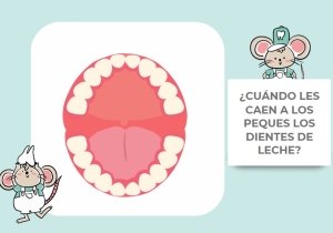 Los dientes de leche se caen poco a poco.